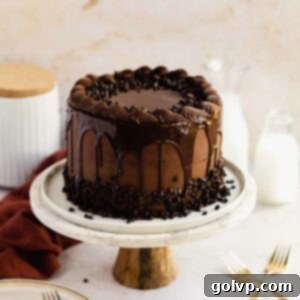 chocolate cake with drip and piped frosting on cake stand