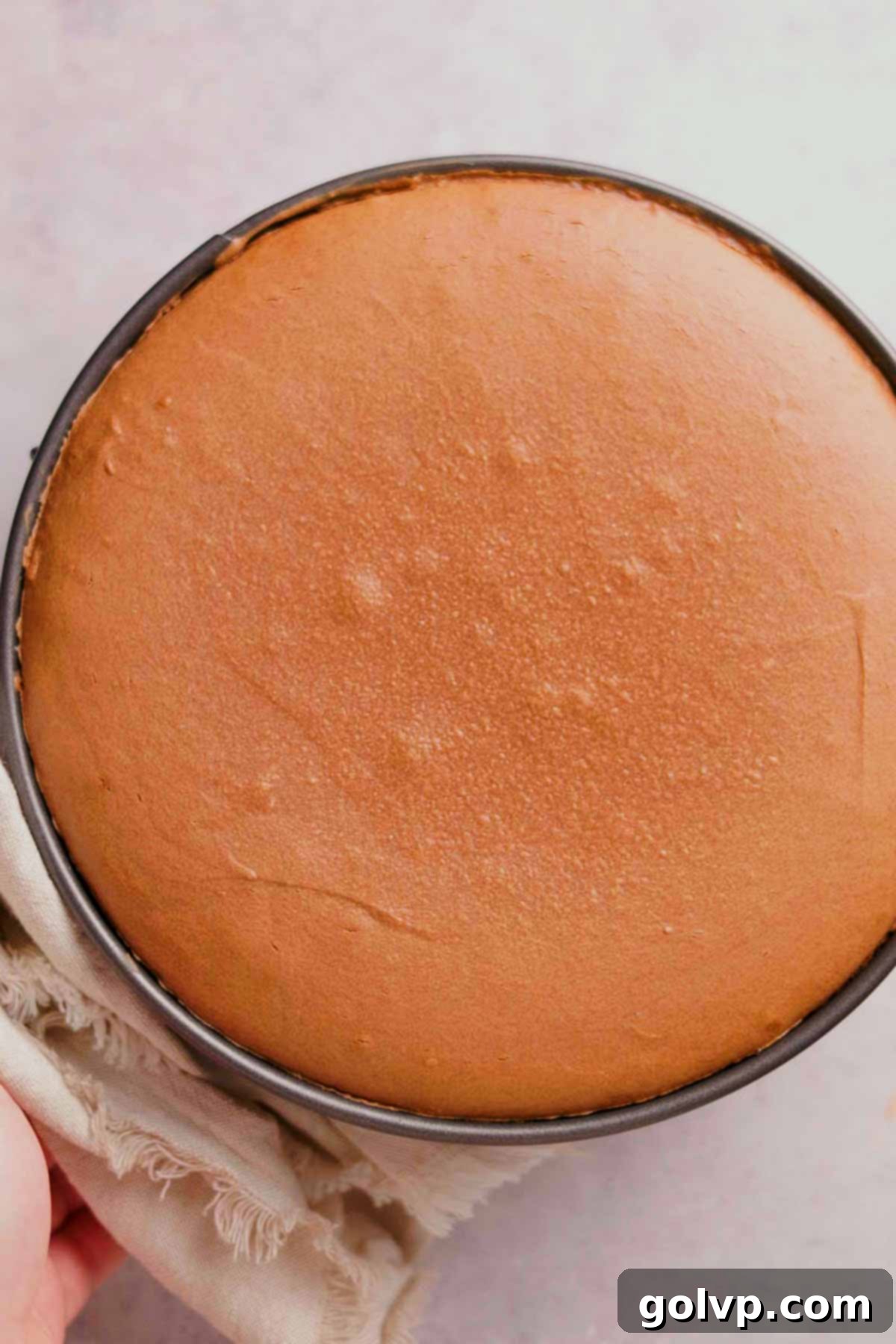 freshly baked chocolate cheesecake out of the oven