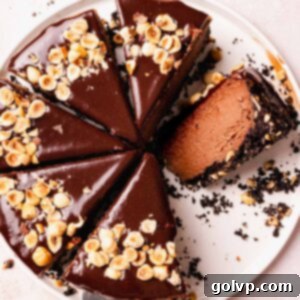 sliced nutella cheesecake with chocolate ganache and chopped hazelnuts