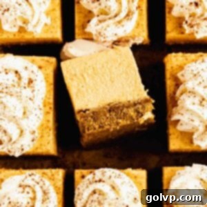 Easy No-Bake Pumpkin Cheesecake Bars 13 Pumpkin cheesecake bars from the top with slice turned over