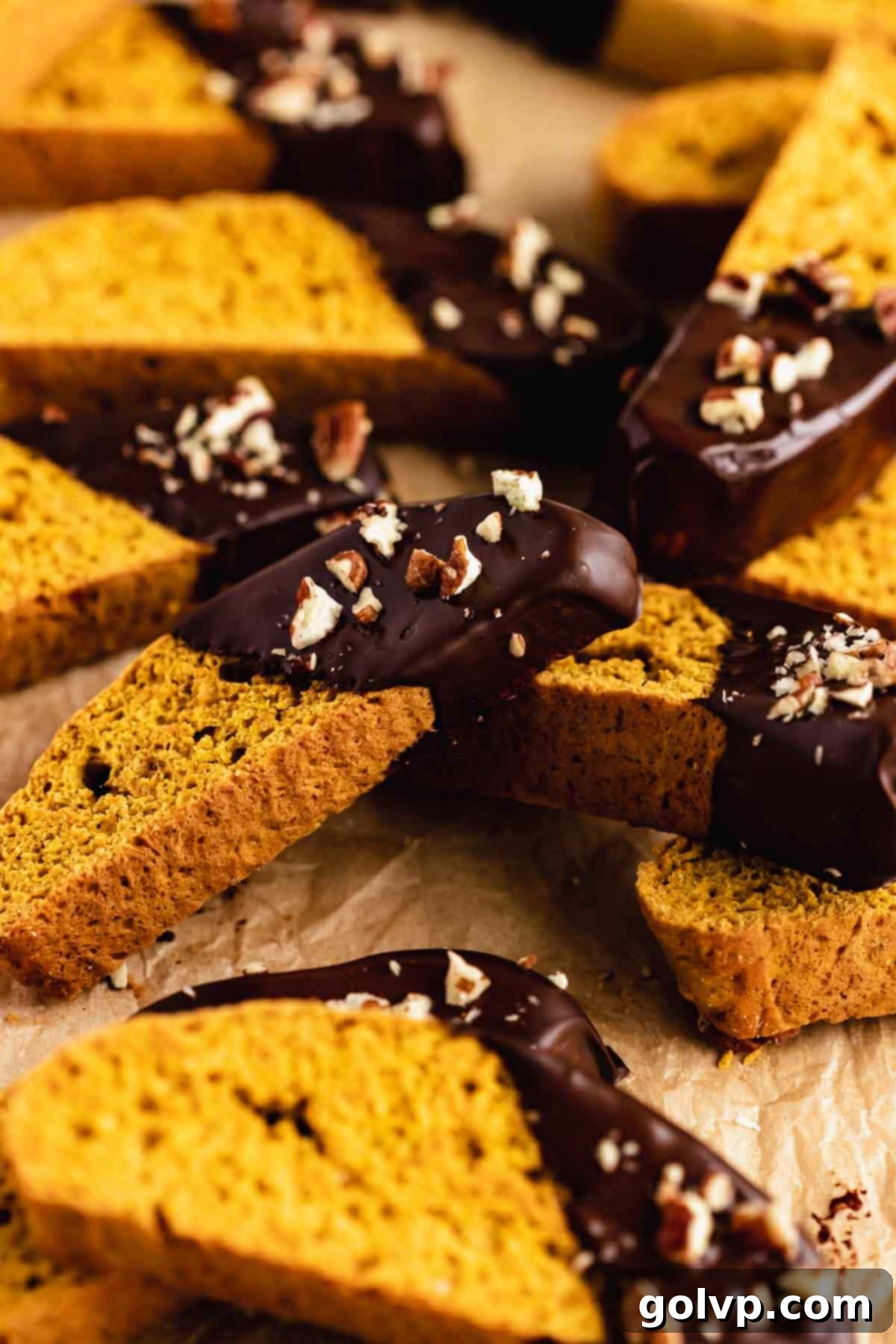Autumn Pumpkin Biscotti 2 Close-up of golden brown pumpkin biscotti, partially covered in melted chocolate and sprinkled with chopped pecans, ready to be enjoyed.