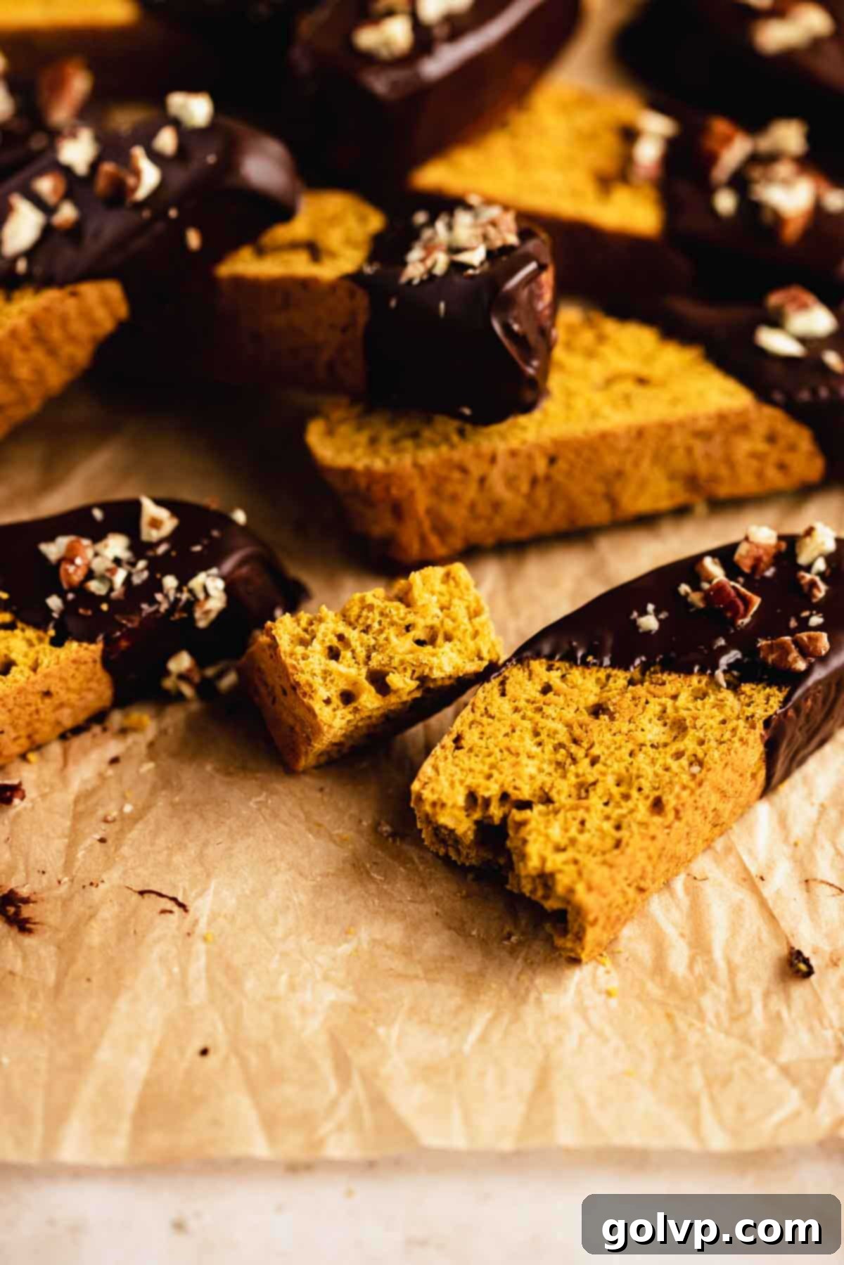 Autumn Pumpkin Biscotti 11 A close-up of a bitten chocolate-dipped pumpkin biscotti, revealing its textured interior and inviting you to take a bite.