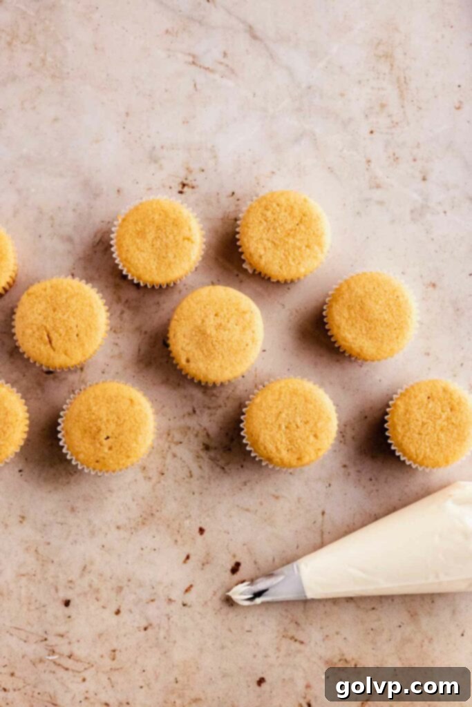Freshly baked maple cupcakes, cooled and removed from the tin, arranged on a wire rack, waiting to be frosted.