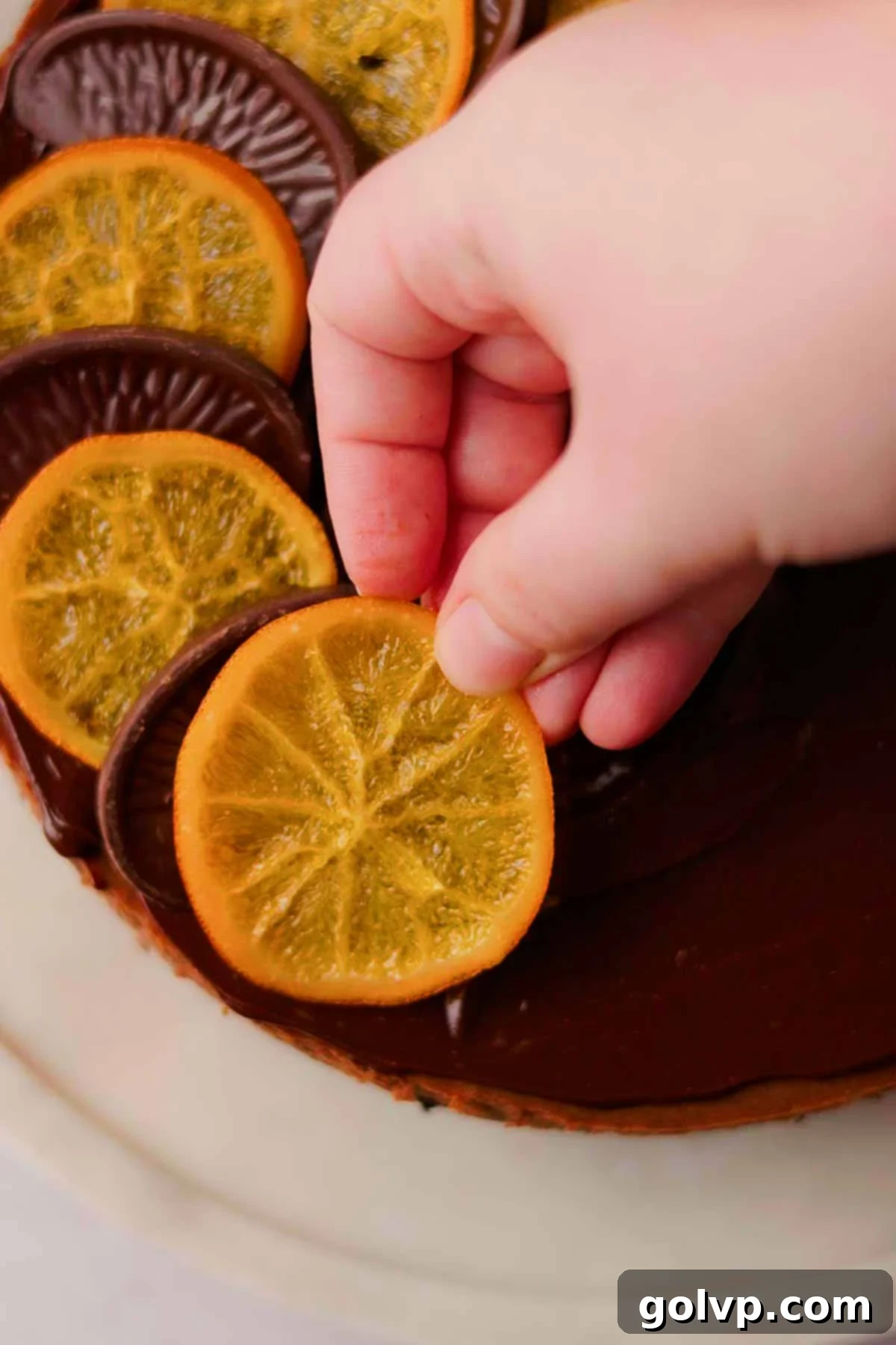 decorating the top of the chocolate orange cheesecake alternating chocolate orange slices and candied orange slices