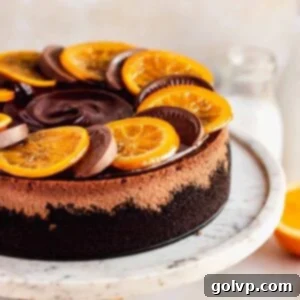 chocolate cheesecake with orange slices and terry's chocolate orange on top