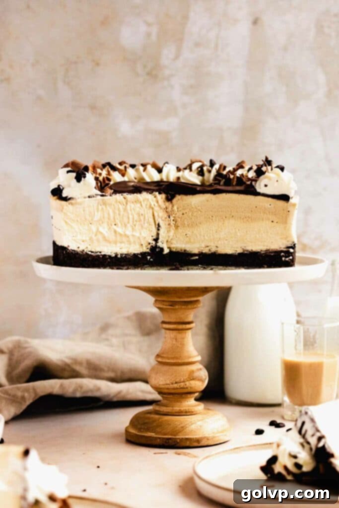 sliced open baileys cheesecake, showcasing its creamy layers and rich chocolate ganache