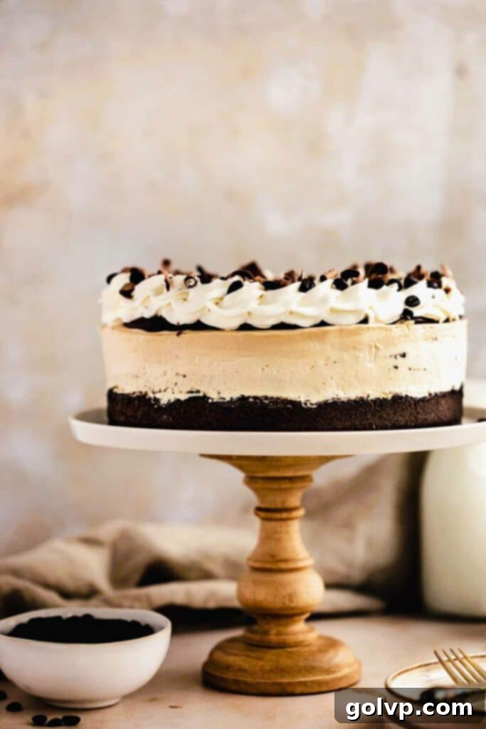 Fully decorated no bake baileys cheesecake with whipped cream, coffee beans, and chocolate curls