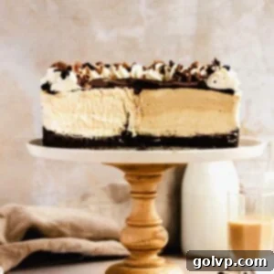sliced open baileys cheesecake, showcasing its creamy layers and rich chocolate ganache
