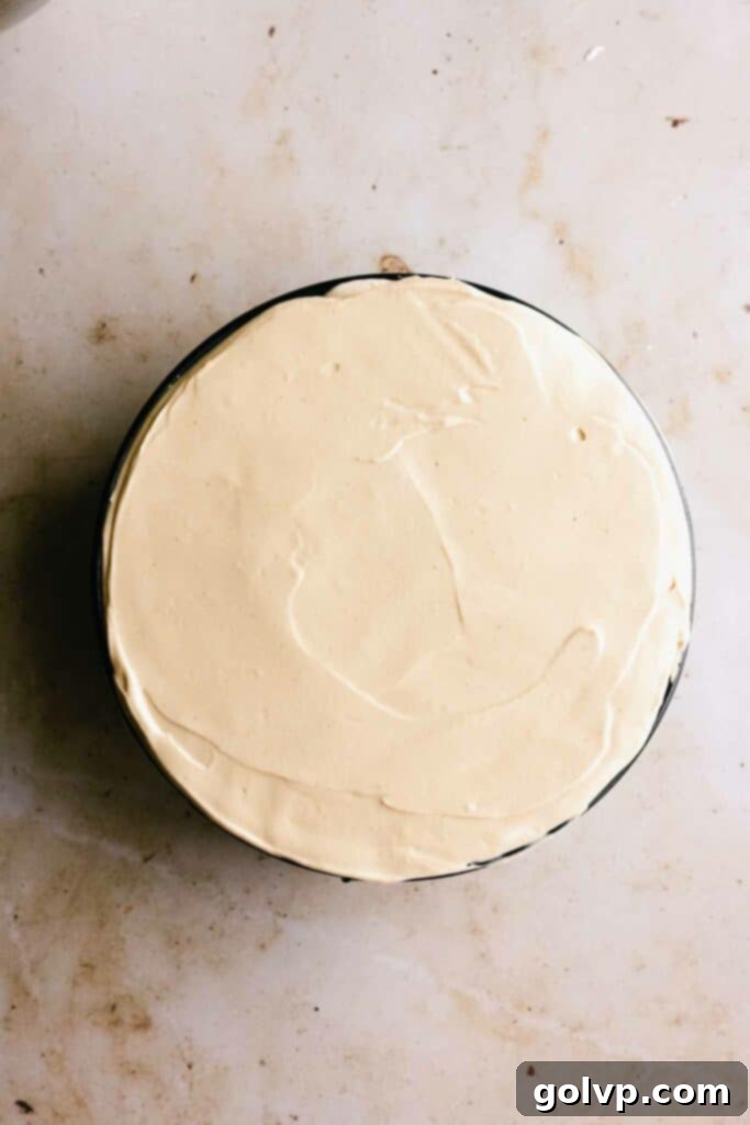 Two-toned cheesecake filling smoothed into the pan, ready to chill