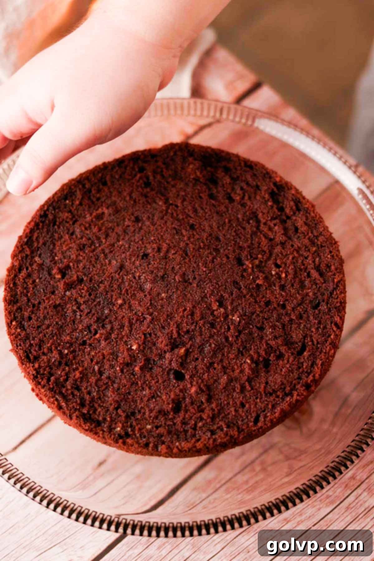 Assembling the cake on a cake stand, placing the first perfectly sliced chocolate cake layer down.