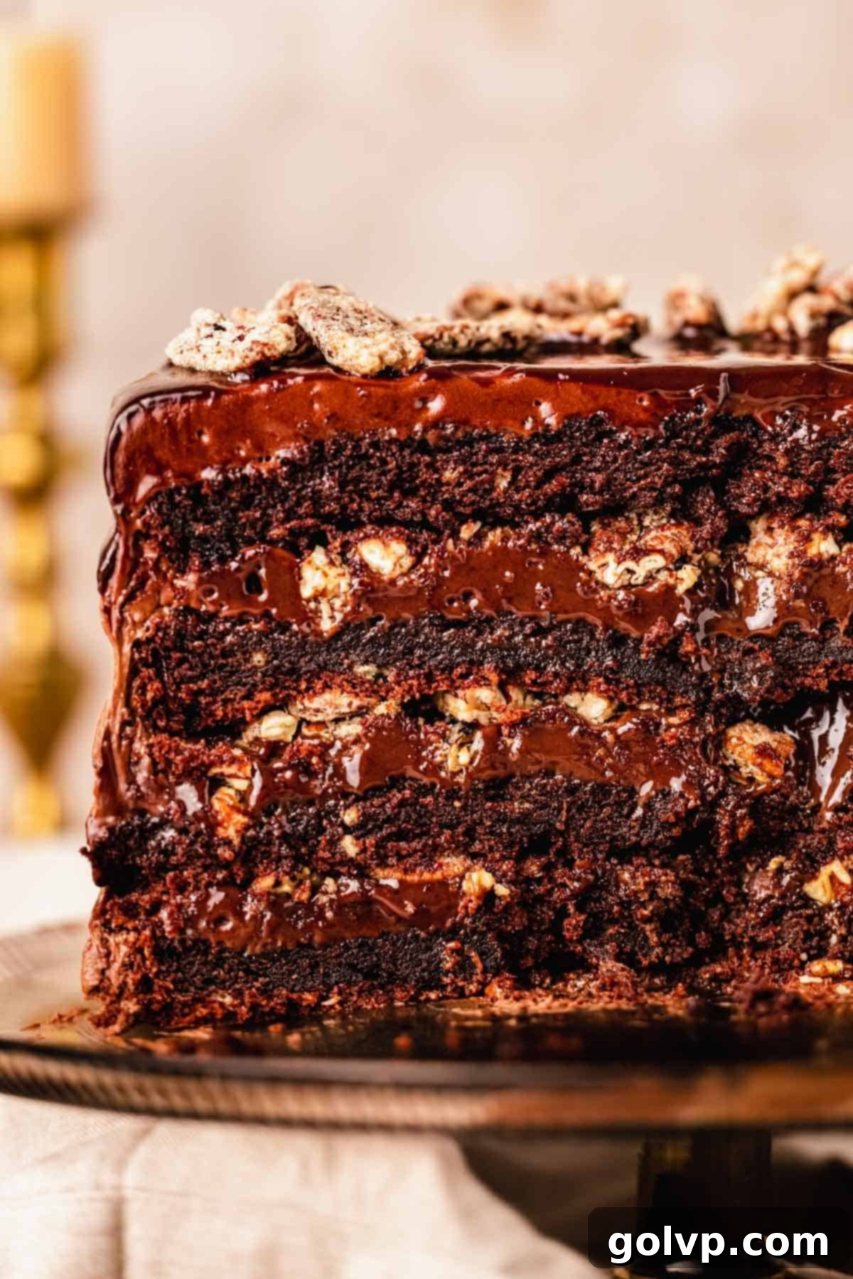 Close-up of four layers of moist chocolate cake with generous milk chocolate ganache and praline pecans between each layer, ready for frosting.