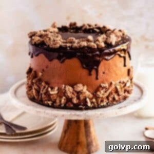 Square thumbnail of a chocolate praline cake with a chocolate drip and praline pecans on top, ready to be served.