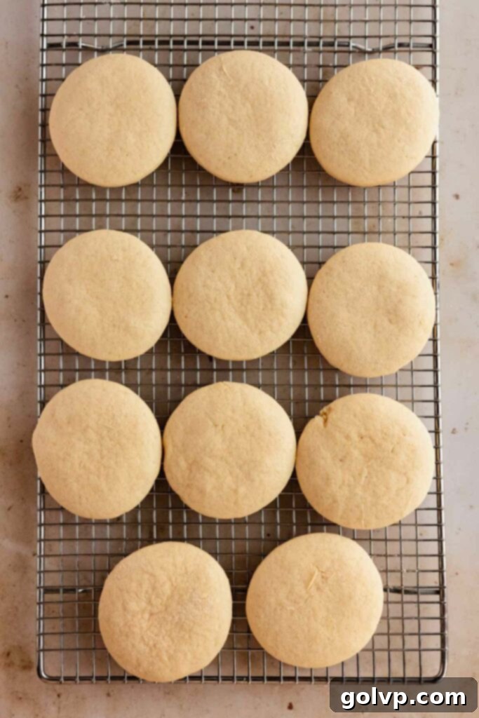Classic Buttercream Sugar Cookies 11 Freshly baked sugar cookies cooling on a wire rack