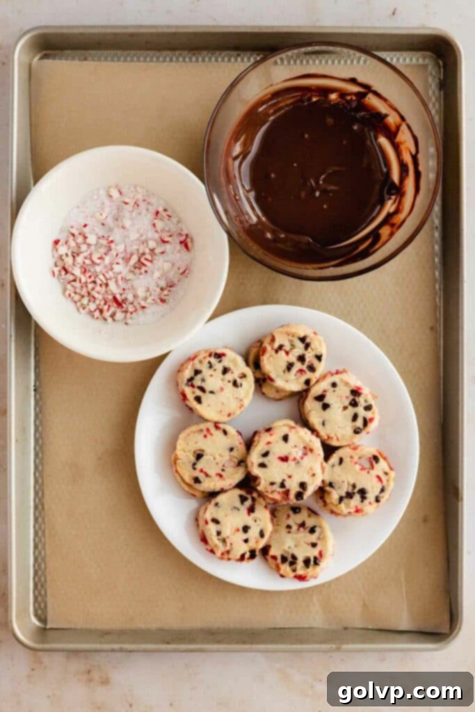 melted chocolate, candy cane sugar, and cookies