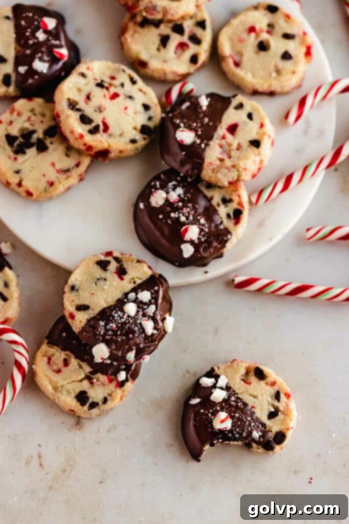 chocolate dipped peppermint shortbread cookies with candy canes