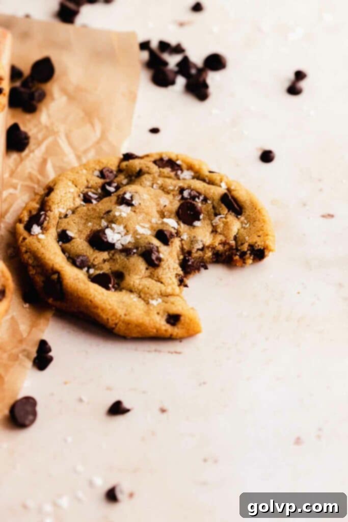 bitten small batch chocolate chip cookie