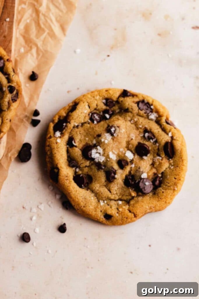 chocolate chip cookie on marble