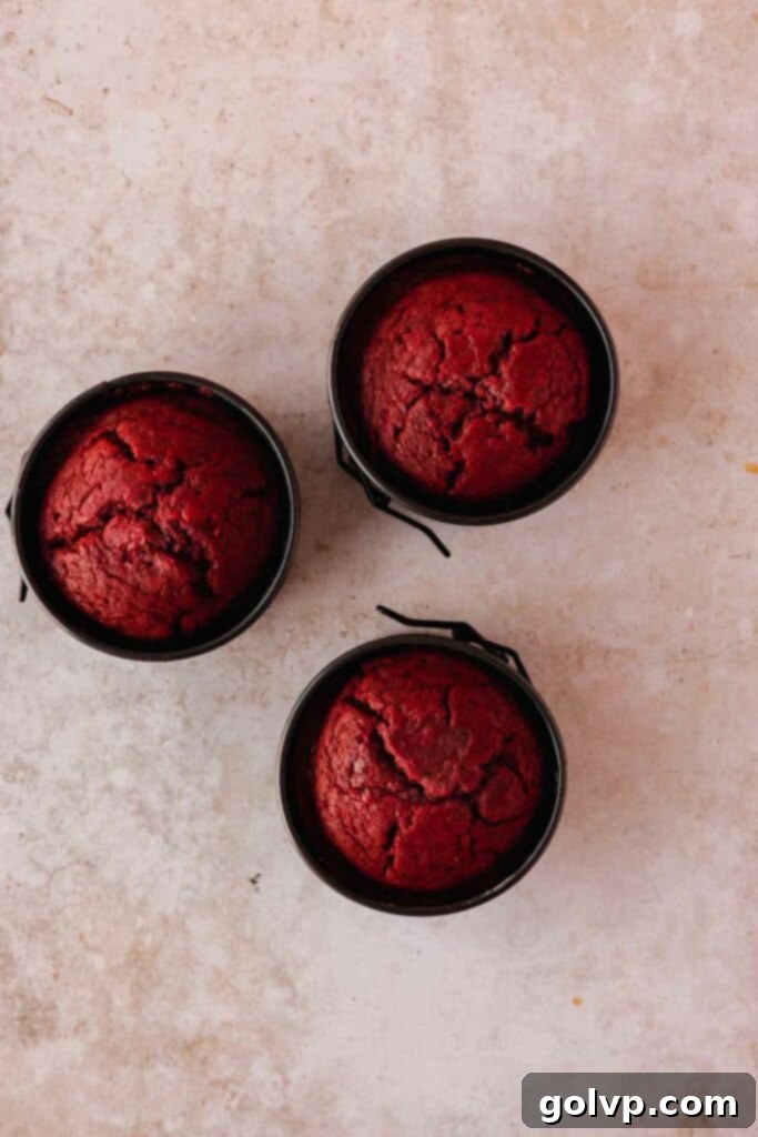 baked red velvet mini cakes