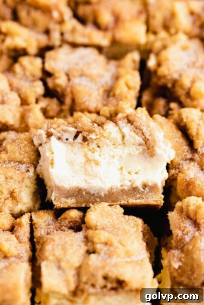 Snickerdoodle Swirl Cheesecake Bars 2 creamy snickerdoodle cheesecake middle