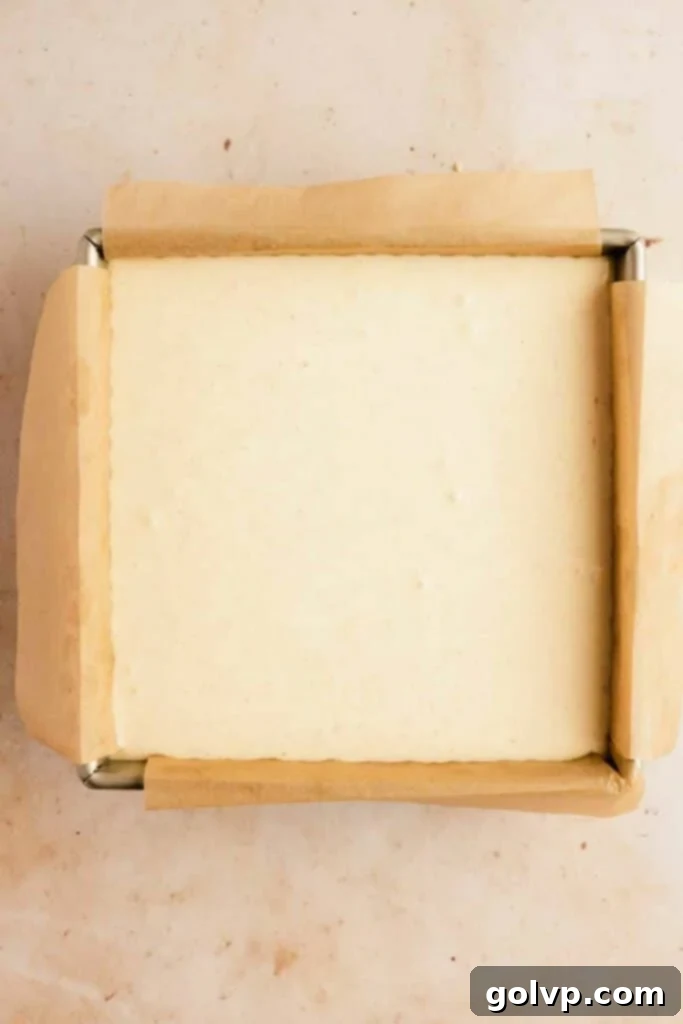 Snickerdoodle Swirl Cheesecake Bars 14 Cheesecake batter poured over crust before baking