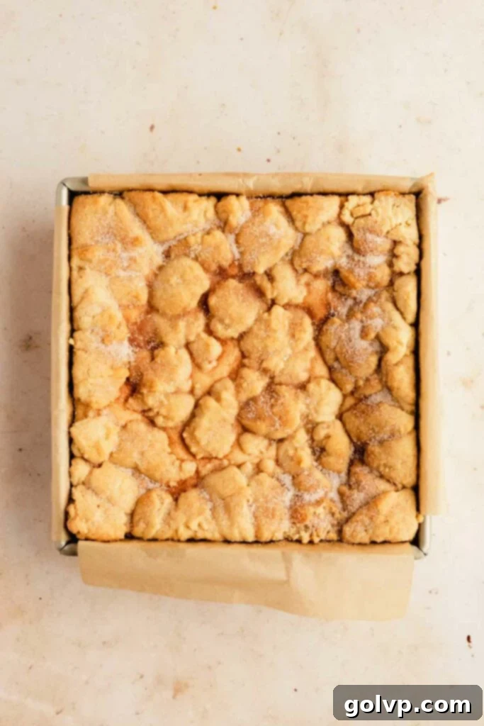 Snickerdoodle cheesecake bars right out of the oven