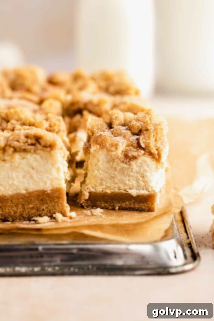 Snickerdoodle Swirl Cheesecake Bars 3 snickerdoodle cheesecake bars on parchment paper and tray