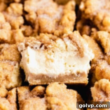 Snickerdoodle Swirl Cheesecake Bars 17 creamy snickerdoodle cheesecake middle