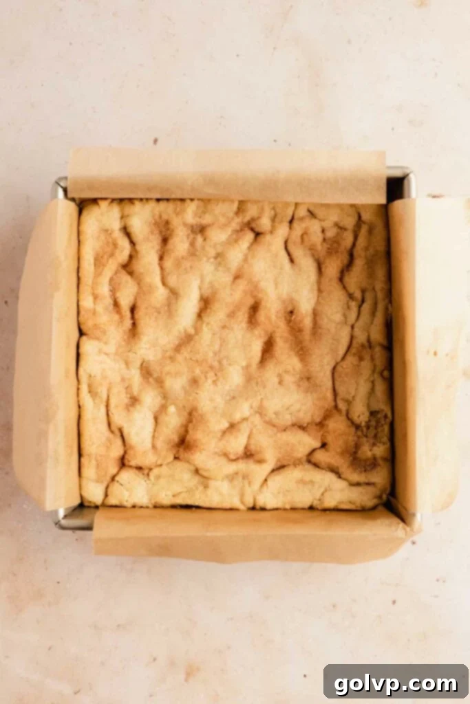 Baked snickerdoodle cookie base