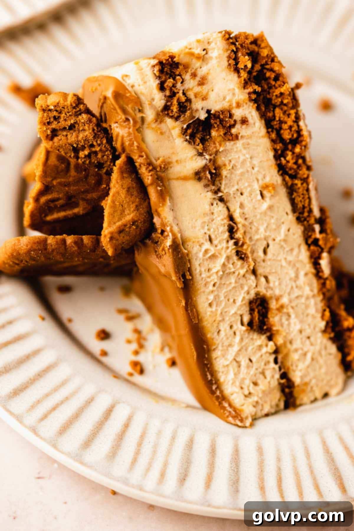 A perfectly sliced piece of Biscoff cheesecake, showing the cookie butter drizzle on top and the smooth filling.