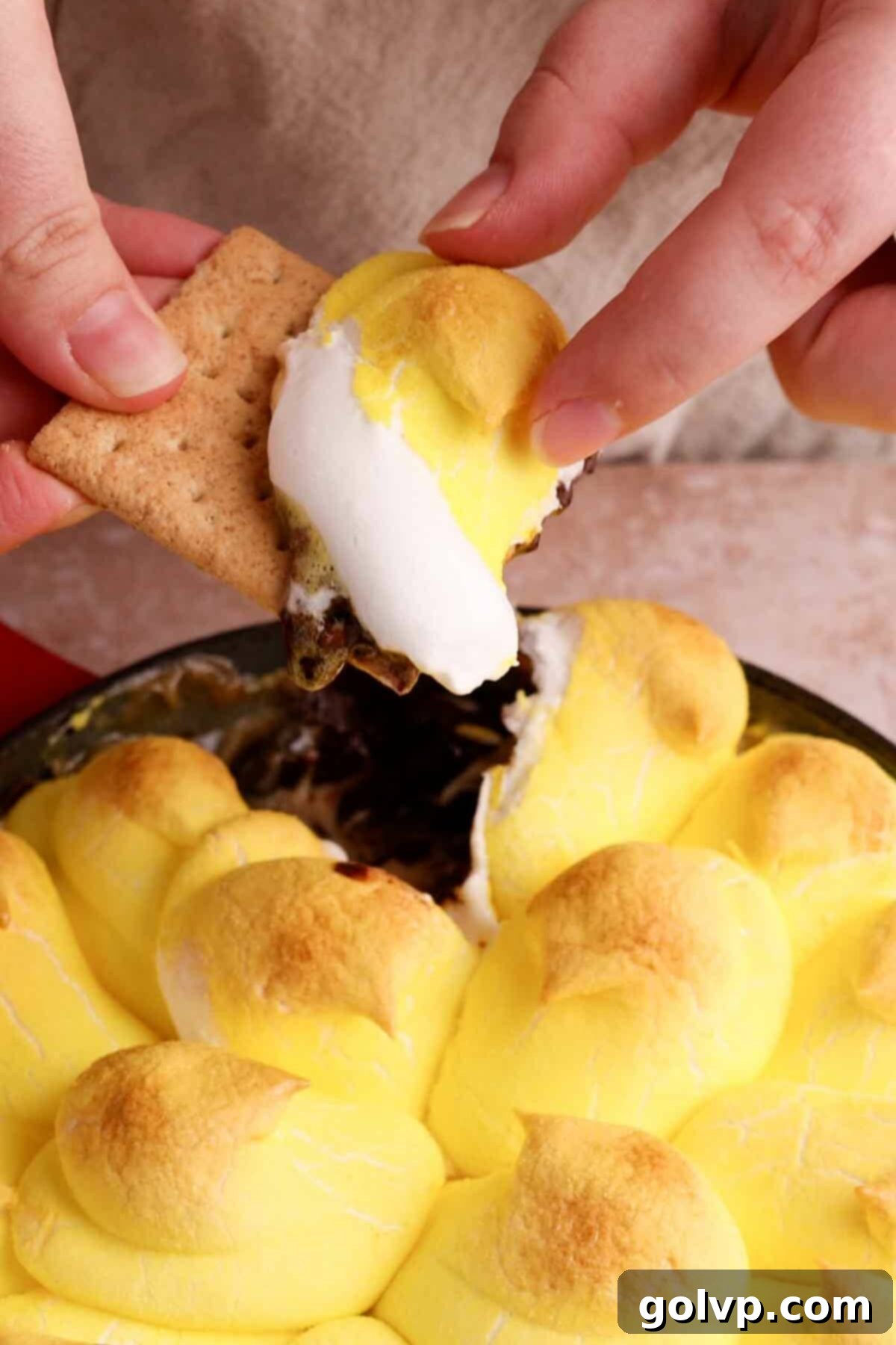 dipping into smores dip