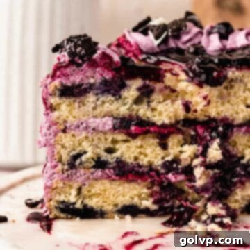 slice of blueberry cake on plate
