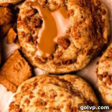 A close-up of a warm, golden-brown Biscoff stuffed cookie, cut in half to showcase its luscious, gooey Biscoff cookie butter filling, inviting a taste.