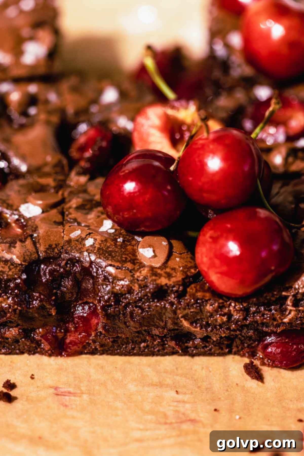 Decadent Cherry Brownies 8 Freshly baked chocolate cherry brownies topped with vibrant fresh cherries, showing the fudgy texture and crackly top.