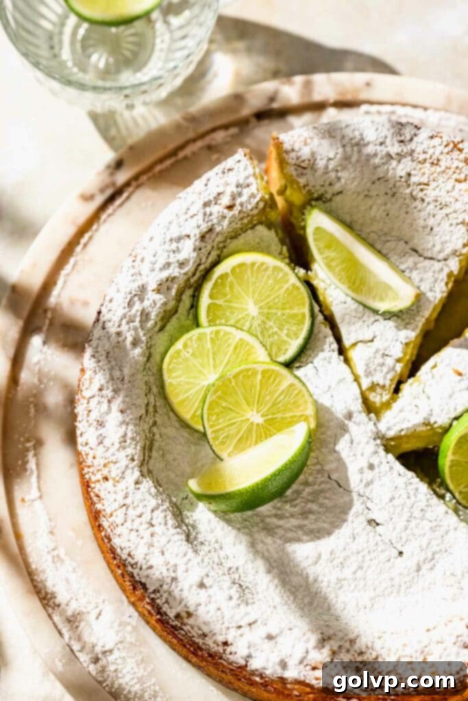 A vibrant lime cake adorned with powdered sugar and fresh lime slices, emphasizing its rich texture.