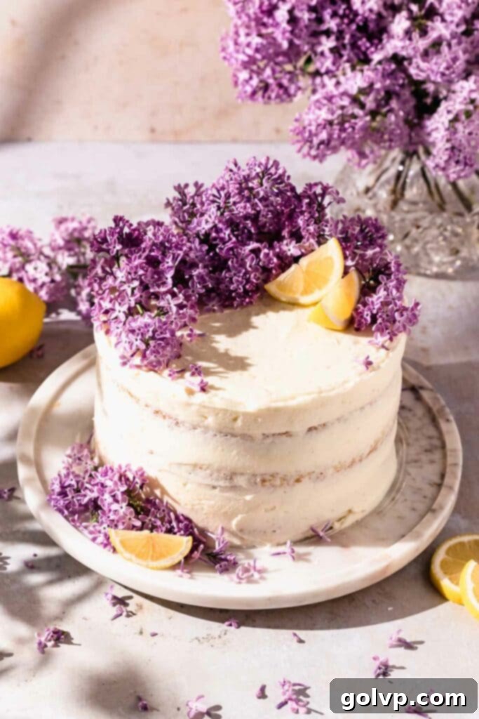 Semi naked layer cake topped with fresh lilacs and lemon wedges, a beautiful dessert for spring