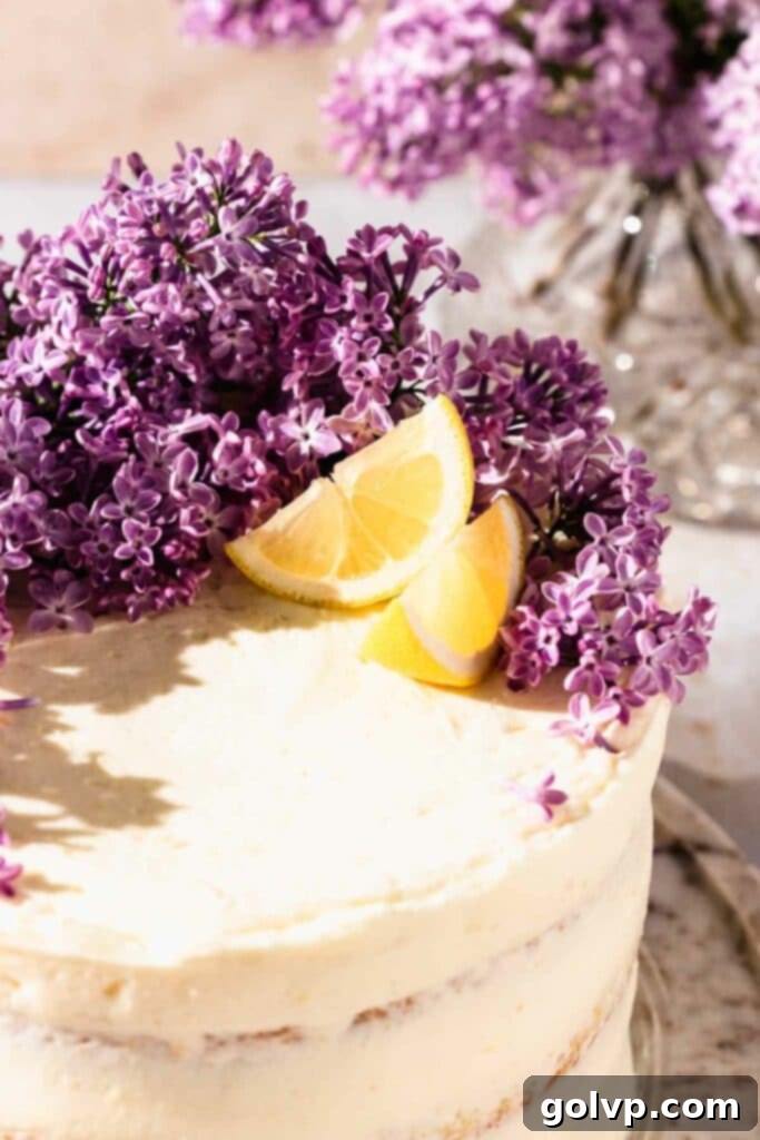 Lilac cake decorated with fresh lemon wedges and lilac flowers on a spring-themed background