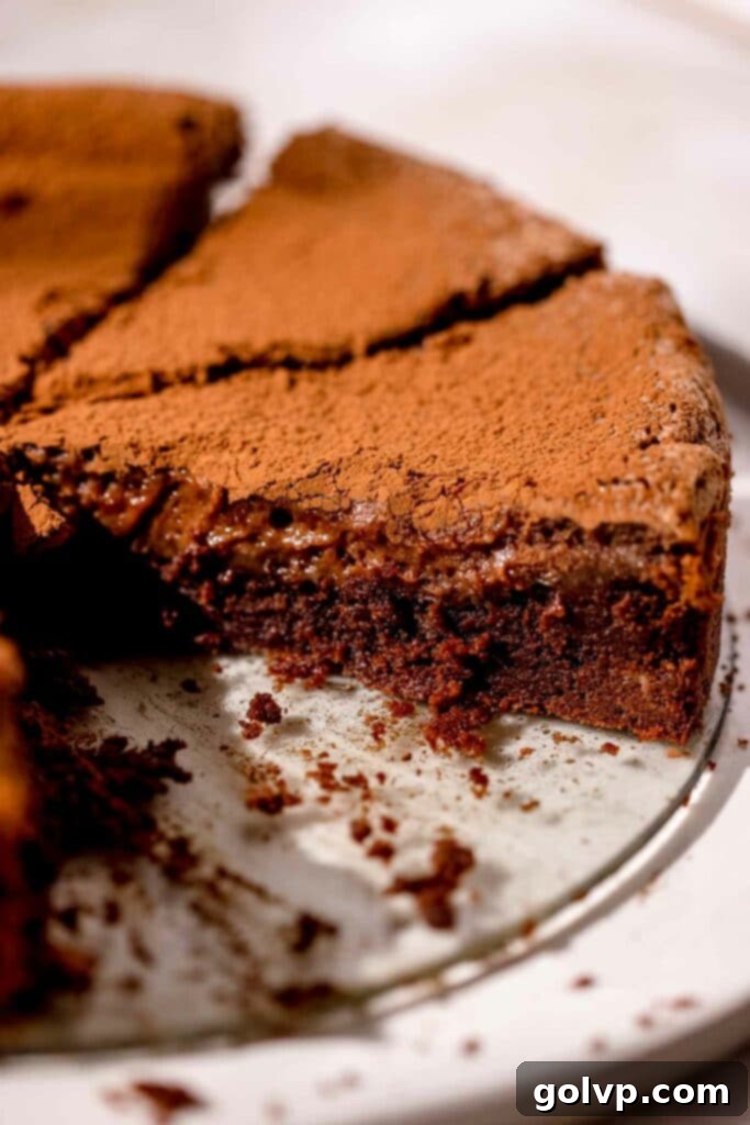 A close-up of the finished chocolate butter cake, highlighting its rich, fudgy bottom and the soft, gooey filling in intricate detail.
