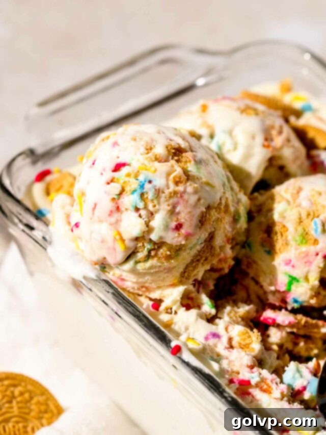 Joyful Confetti Cream 3 Close-up of creamy funfetti ice cream in a dish, showing colorful sprinkles and cookie pieces