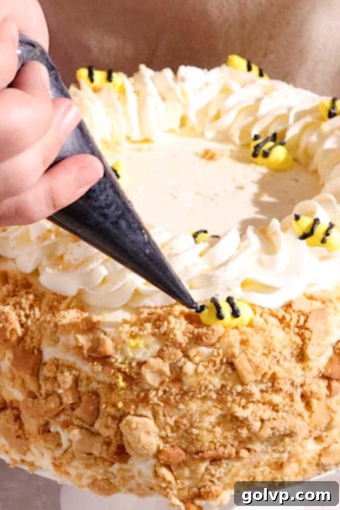 Medovik Honey Cake 15 piping bee stripes