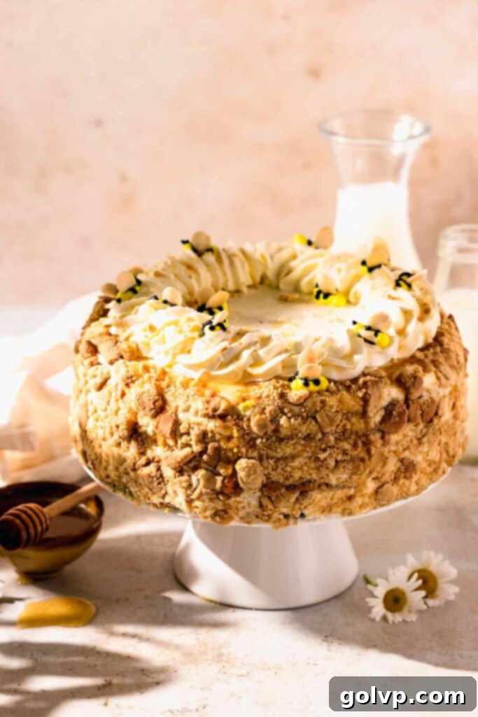Medovik Honey Cake 3 Cake with crumbs on sides and piped bees on top