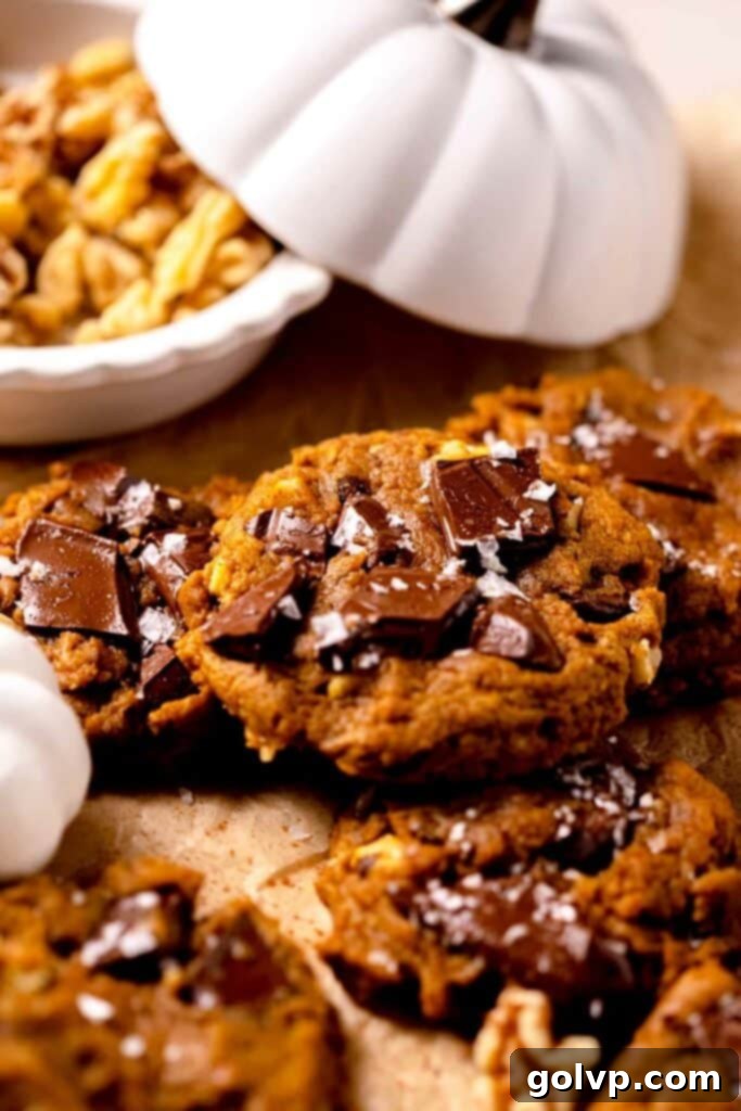 Pumpkin cookies with chocolate and flaky salt