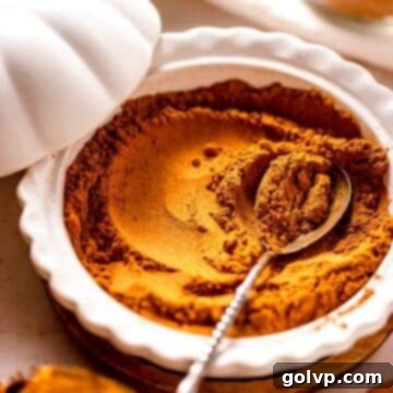 Orange pumpkin spice mix with spoon