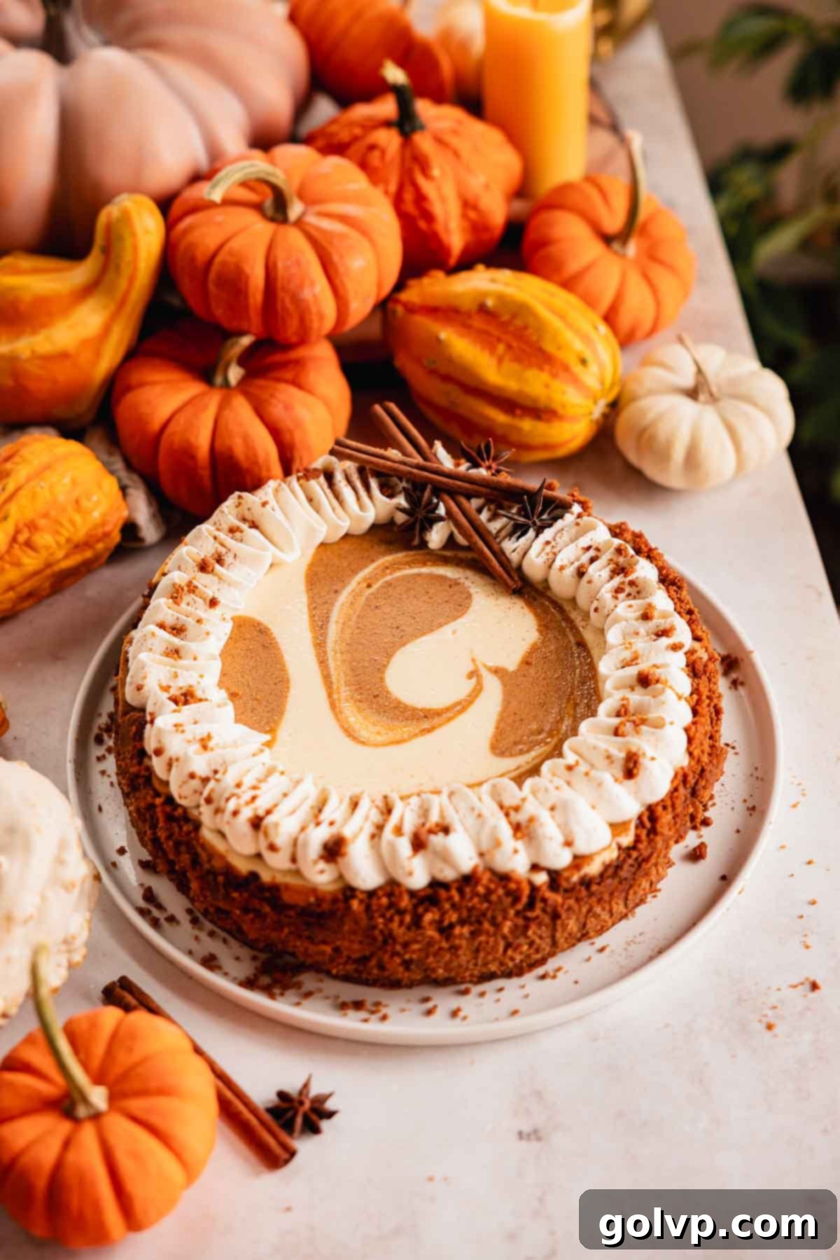 pumpkin pie cheesecake on a plate with whipped cream and swirls