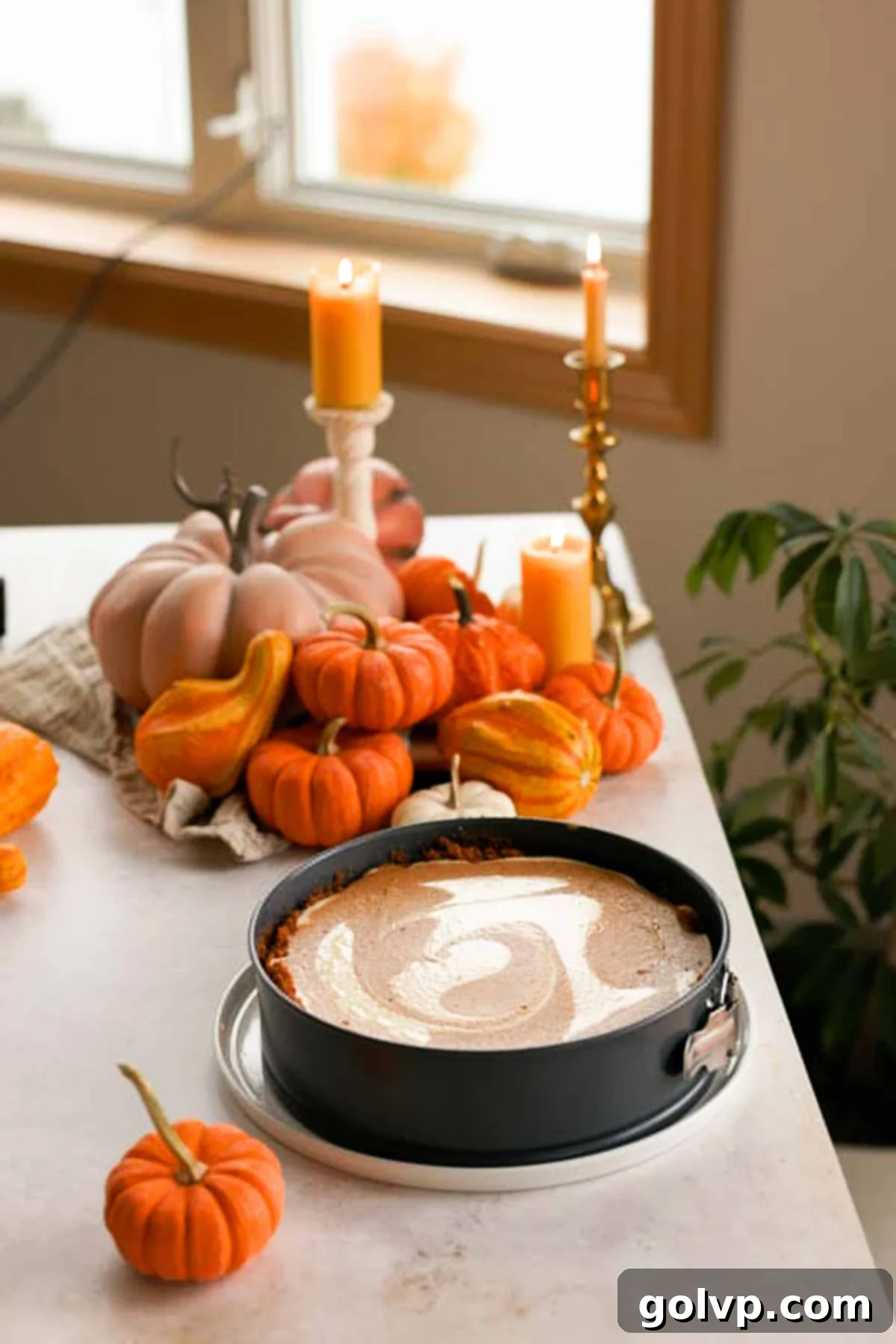 baked and cooled pumpkin pie cheesecake in springform pan