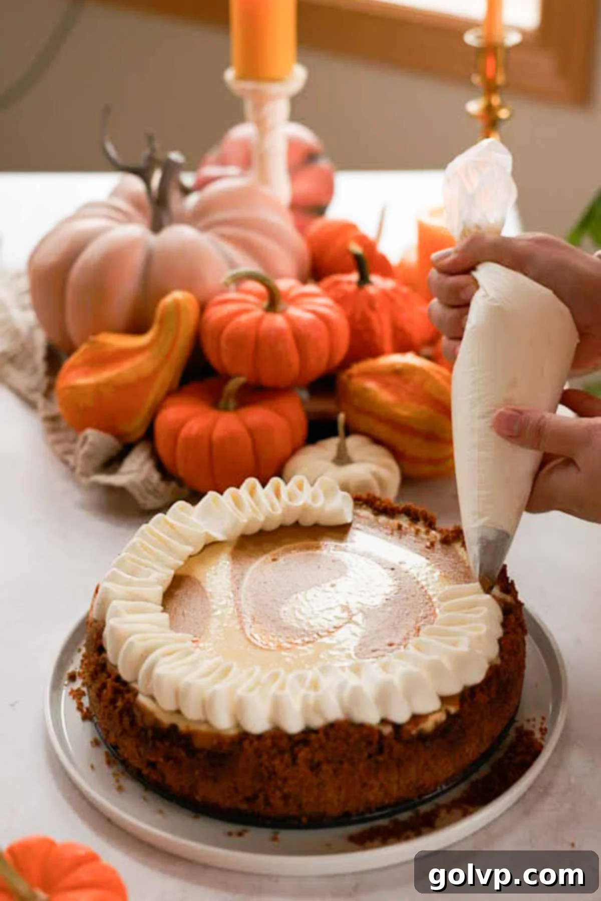 piping whipped cream onto the top of pumpkin pie cheesecake