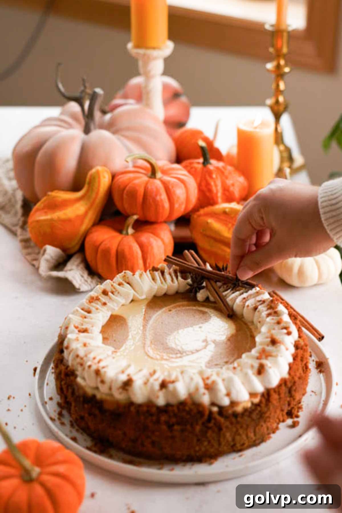 decorating pumpkin pie cheesecake with cinnamon sticks and anise seed pods