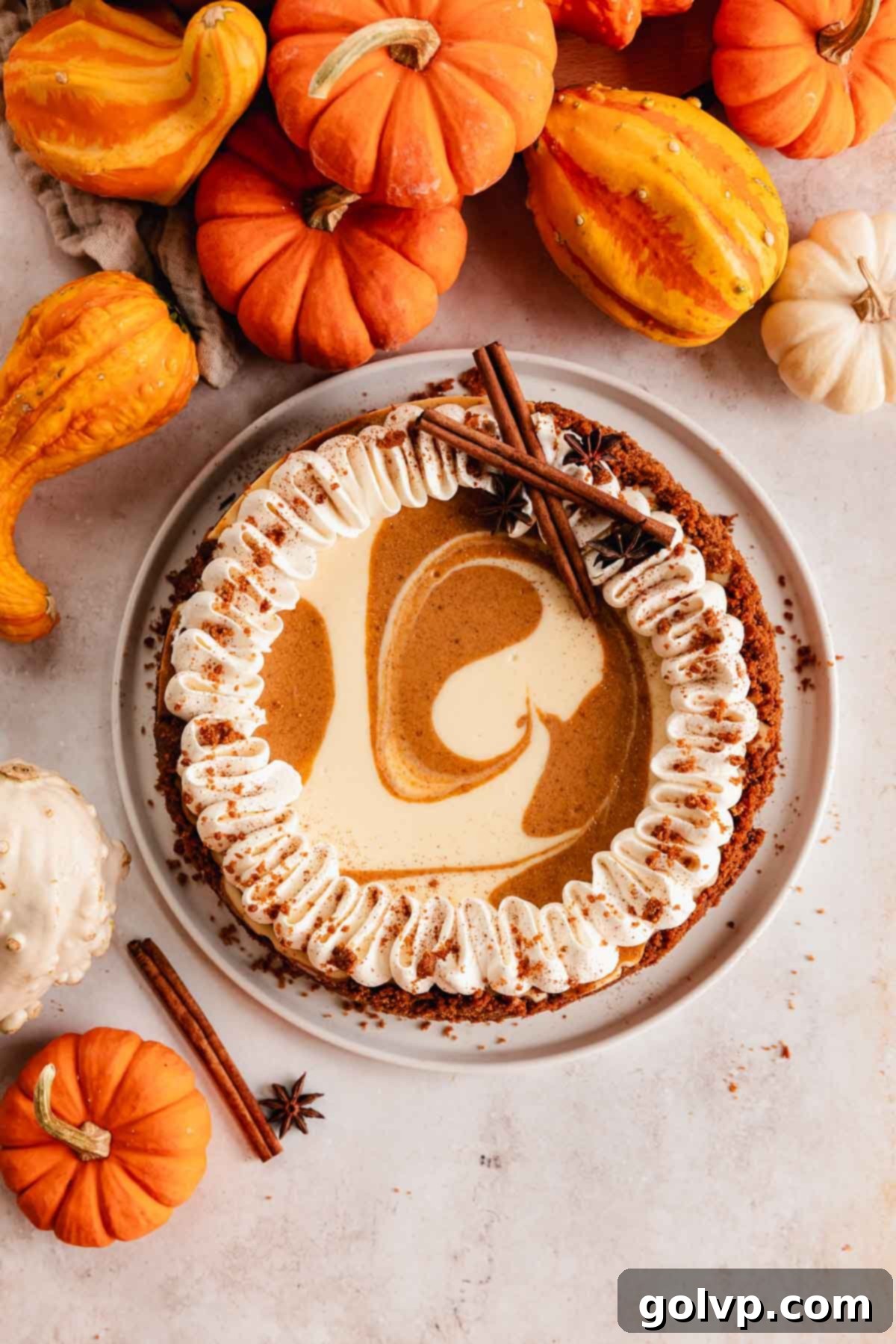 pumpkin pie cheesecake with whipped cream