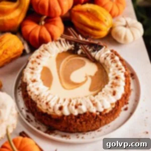 pumpkin pie cheesecake on a plate with whipped cream and swirls