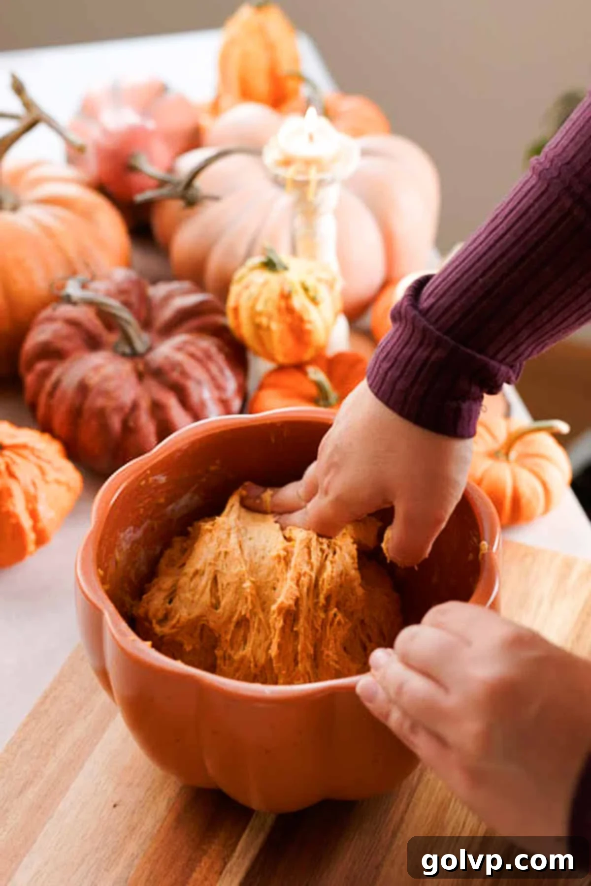 Hands gently folding the edges of risen pumpkin dough towards the center in a mixing bowl.